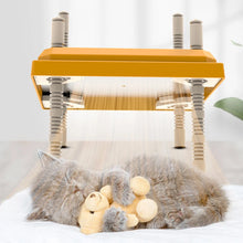 15W Electric Chick Brooder Heating Plate with Acrylic Plate Ease of Cleaning Adjustable Height and Angle for Chicks