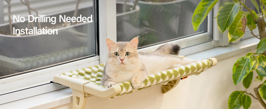 Mewoofun Cat Hammock One-Step Sliding Clamping Slot Adjustment Cat Window Hammock with Removable Covers 30kg Pet Accessories