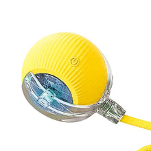 Cat Interactive Ball Toys USB Rechargeable Automatic Rolling Ball Funny Cat Toys Fast Rolling Ball for Indoor Cat Kitten