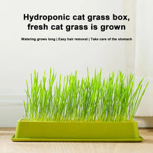 Cat Grass Planter Layered Cat Plant Soilless Convenient Cat Grass Kit 4 Styles Pet Supplies Multifunctional For Veterinary