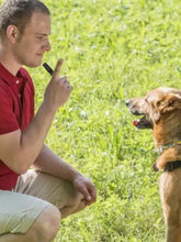 Ultrasonic Dog Whistle Adjustable Dog Recall Whistle Dog Whistle to Stop Barking Bark Control Dog Training Tools Pet Supplies