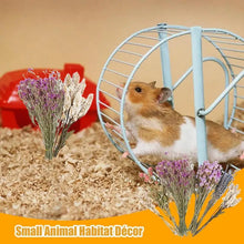 Flower And Plant Bedding Hamster Deodorizing Bedding Golden Bear Nest Landscaping Supplies Dried Flowers