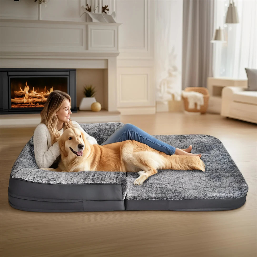 Home and Bed