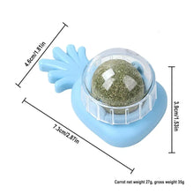 Cat Wall Stick-on Ball Wall Mount Cat Mint Balls Edible Cat Catnip Licking Ball Cat Wall Treats Teeth Cleaning Cat Bite Toy