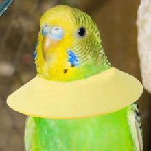 Soft Bird Collars Parrot Anti Bite Collar Breathable Anti Bite Cone Collar Soft Protective Collar Comfortable Soft Neck Collar