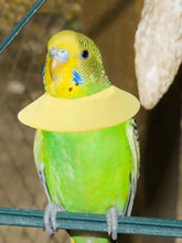 Soft Bird Collars Parrot Anti Bite Collar Breathable Anti Bite Cone Collar Soft Protective Collar Comfortable Soft Neck Collar
