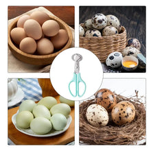 Multifunction Quail Egg Scissor Bird Cutter Opener Stainless Steel Quail Egg Peeler Machine Kitchen Tool Clipper Cigar Cracker