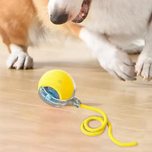 Automatic Rolling Ball Cat Interactive Ball Toy With Tail Rechargeable Smart Pet Interactive Toy Intelligent Mouses For Cat