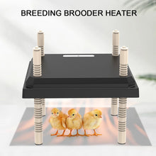 15W Electric Chick Brooder Heating Plate with Acrylic Plate Ease of Cleaning Adjustable Height and Angle for Chicks
