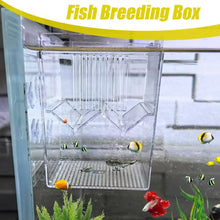 Aquarium Breeder Box With Suction Cups Floating Aquarium Acclimation Hatchery Incubator Guppy Betta Fish Isolation Box