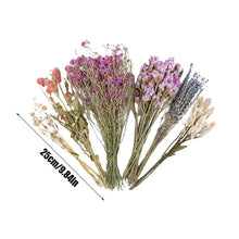 Flower And Plant Bedding Hamster Deodorizing Bedding Golden Bear Nest Landscaping Supplies Dried Flowers