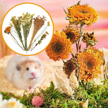 Flower And Plant Bedding Hamster Deodorizing Bedding Golden Bear Nest Landscaping Supplies Dried Flowers