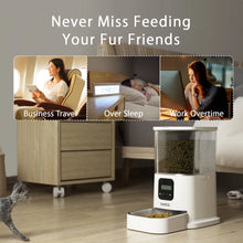 Iseebiz 3L Automatic Pet Feeder With Voice Record Pets Food Bowl For Medium Small Dog Cat LCD Screen Dispensers 4 Times One Day