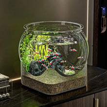 Clear Transparent Round Fish Tank Aquarium Micro-landscape Resistant Falling Desktop Ecologicals Fish Tank Ornamental Fish Decor