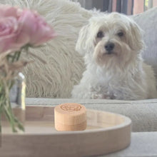 Dog Hair Keepsake Box Wood Pet Hair Keepsake Box Durable Pet Memorial Box Tooth Collection Memorial Box For Dog And Cat Ashes