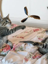 6PCS Cat Toys Feathers Wand Cat Wand Toy Refill Cat Teaser Toy Interactive Kitten Teaser Refill Rotating Cat Feathers Refill Toy