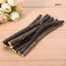 10/20/30/50Pcs Natural Silvervine Catnip Cat Chew Toy Suit Silvervine Cat Snacks Stick Safety Molar Toothpaste Sticks Pet Supply