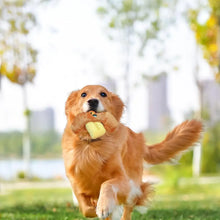 Hiddening Food Sniffing Toy Interactive Dog Chew Toy Croissant Bread Squeaking Sound Plush Toys Pets Exercise Supplies