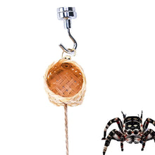 Jumping Spider Hide Handmade Spider Enclosure Accessories For Hidding Decorative Small Pets House Shelter Space For Home Garden