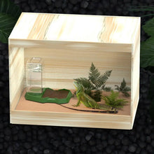 Reptile Water Bottle Automatic Reptile Water Dish With Bottle Tortoise Turtle Water Dispenser For Bearded Dragons Lizards