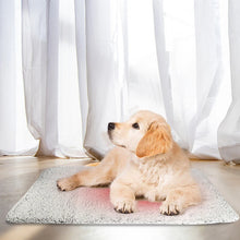 Self-Warming Cat Bed Pad Self-Heating Thermal Cat Dog Bed Mat Washable Pet Sleeping Mat Comfortable for Indoor Cats & Small Dogs