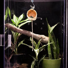 Jumping Spider Hide Handmade Spider Enclosure Accessories For Hidding Decorative Small Pets House Shelter Space For Home Garden