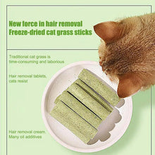 Cat Grass Sticks 8 Sticks Cat Chewing Snacks Freeze-Dried Cat Snack Time Treats Flavored Teeth Cleaning Treats For Keeping Cat